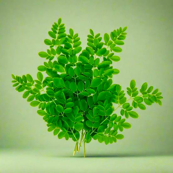 Moringa Leaf Powder
